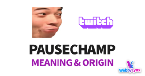PauseChamp-Twitch-Emote-Meaning-Origin